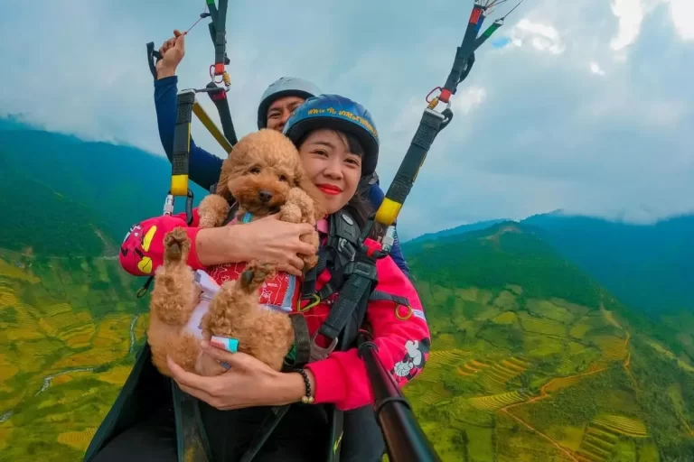 Da Nang City Tour On Sky - Paragliding 2