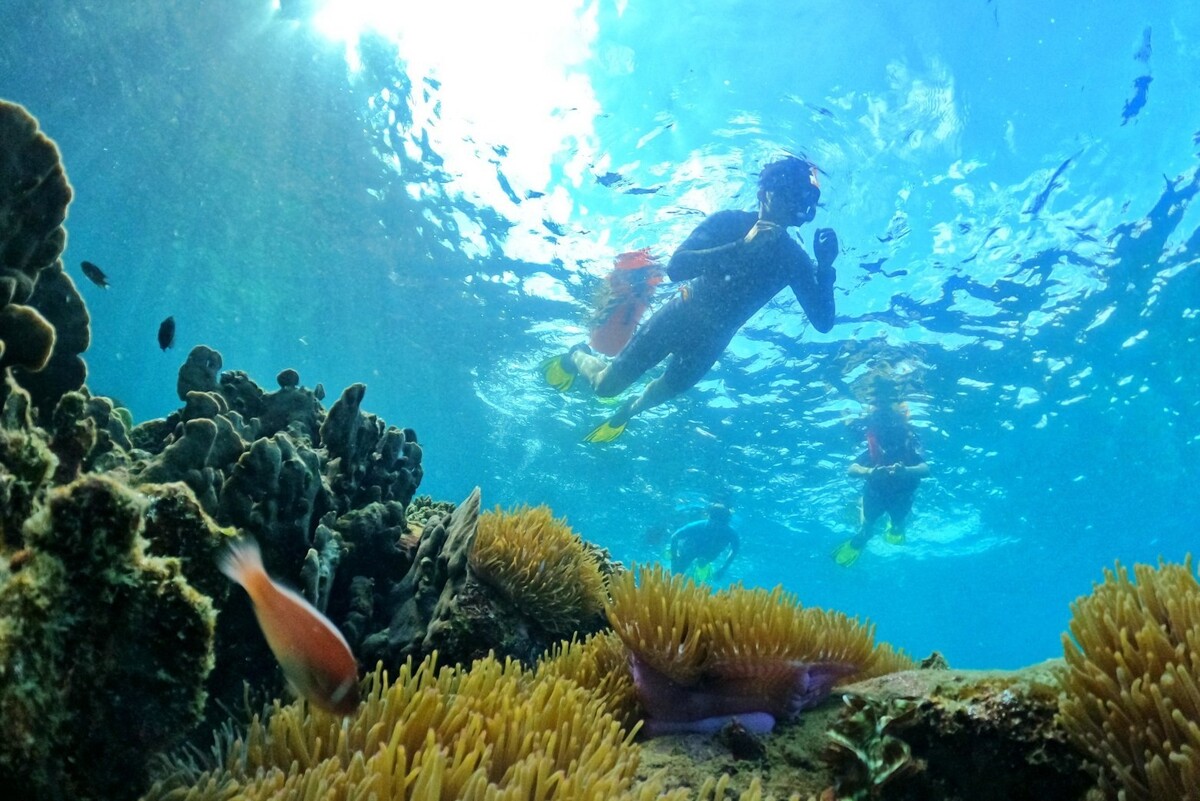 Phu Quoc Snorkeling Tour - AN Tours