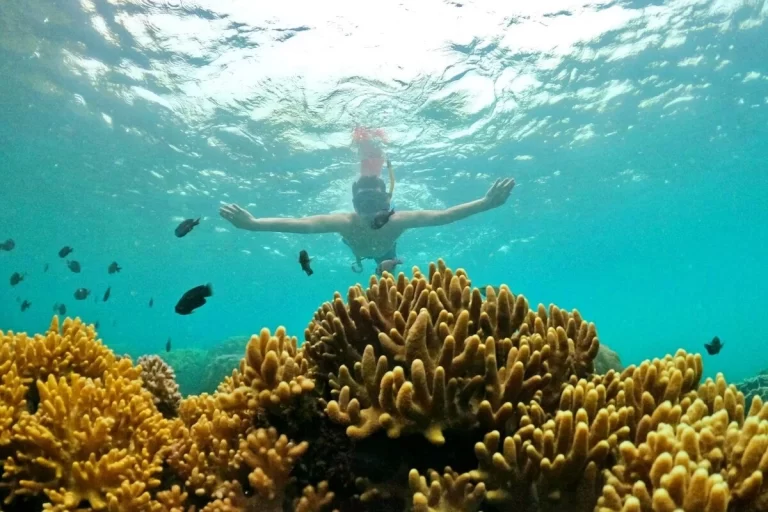 Phu Quoc Snorkeling Tour by Speedboat - AN Tours Vietnam 10