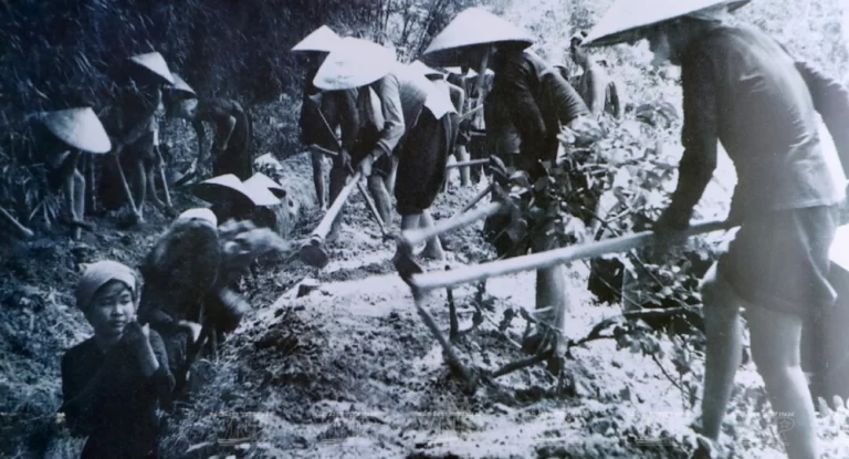 Cu Chi Tunnels Historical Relic Site - AN Tours Vietnam
