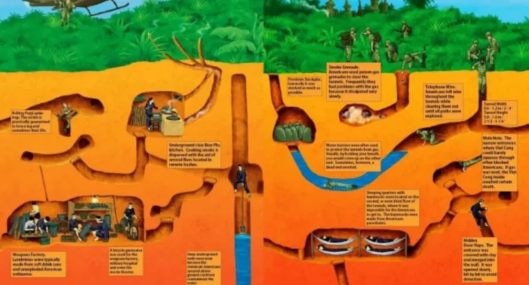 The structure of Cu Chi Tunnels - AN Tours Vietnam