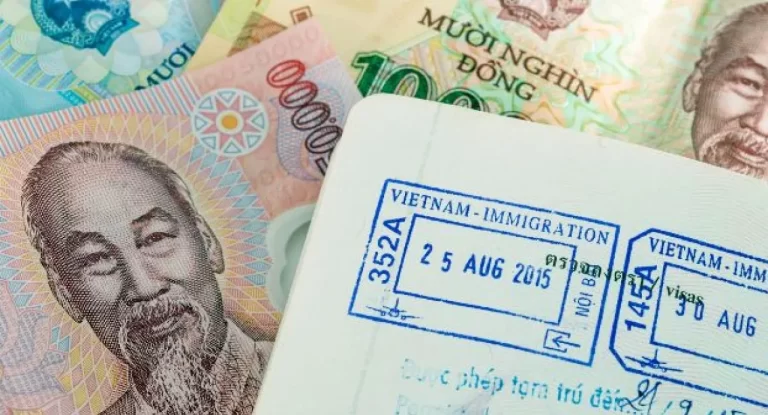 Service - AN Tours Vietnam