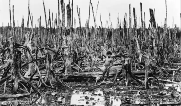Agent Orange in the Vietnam War - AN Tours Vietnam