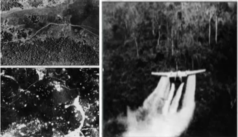 The consequences of agent orange in Vietnam - AN Tours Vietnam