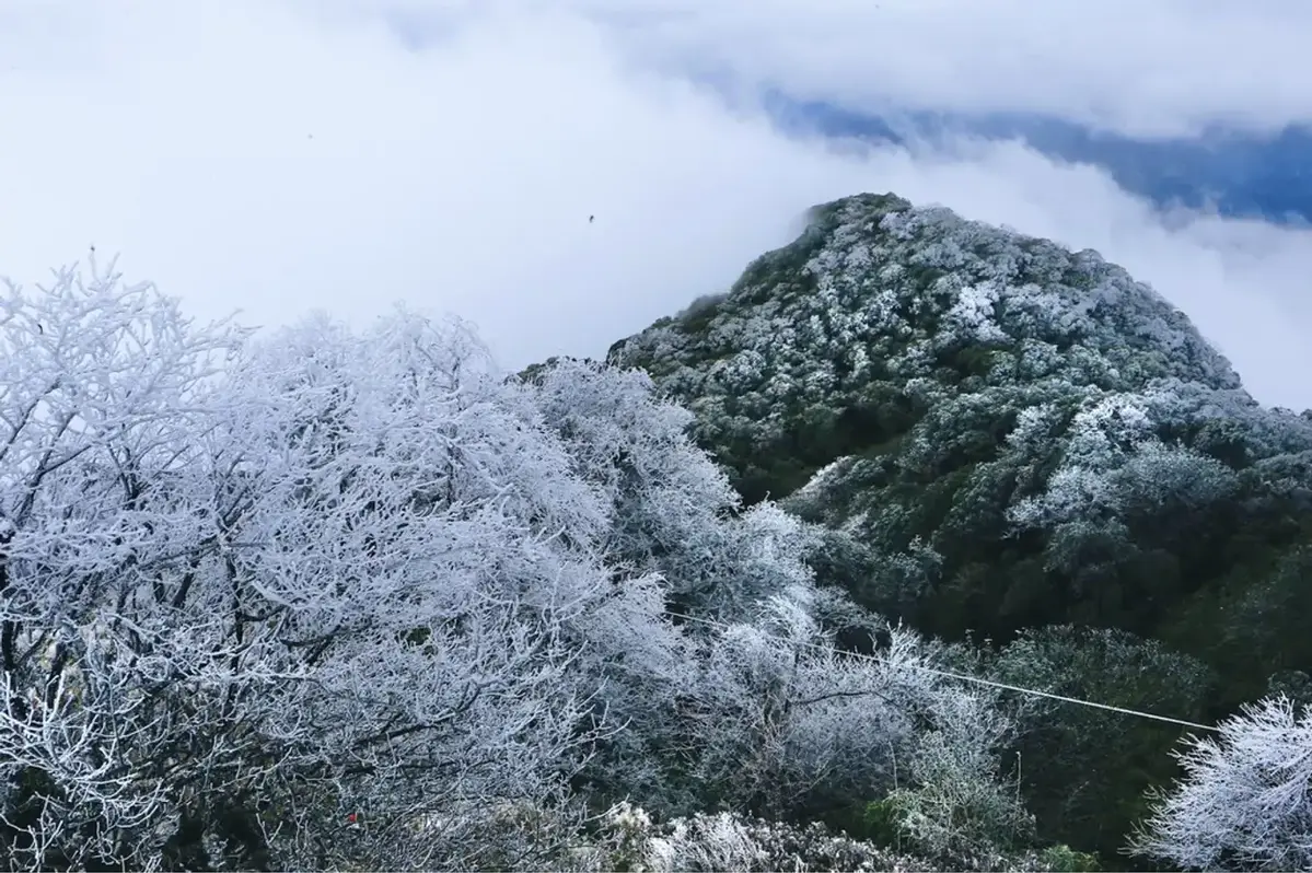 Phia Oac - Phia Den National Park snowy scene