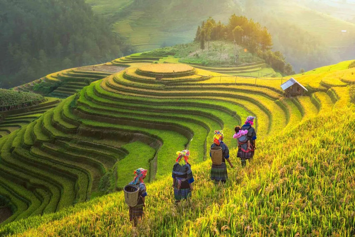 Sa Pa - Vietnam