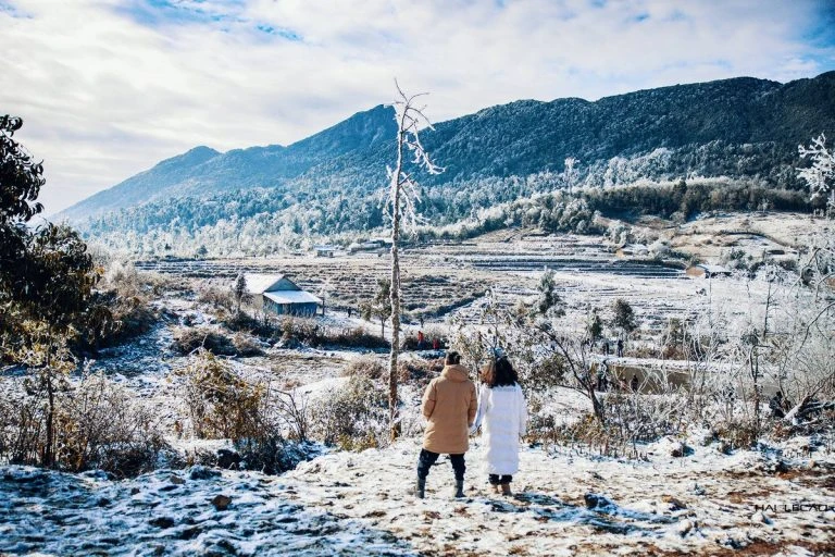 Y Ty in snowy season - the whole scene