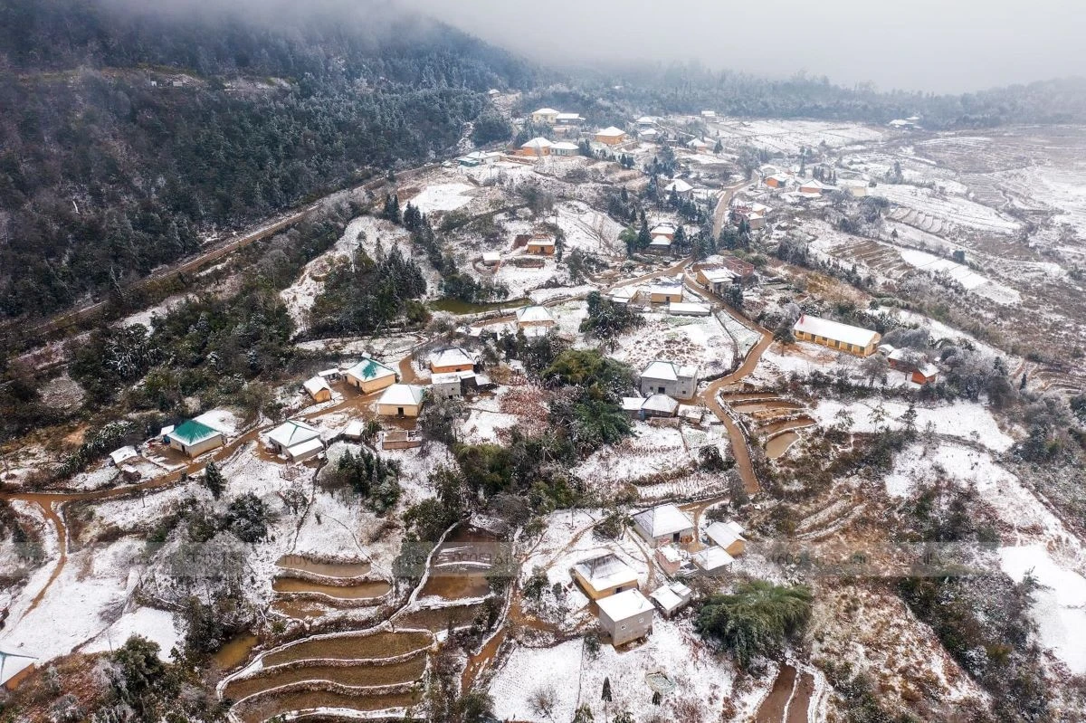 Y Ty in snowy season