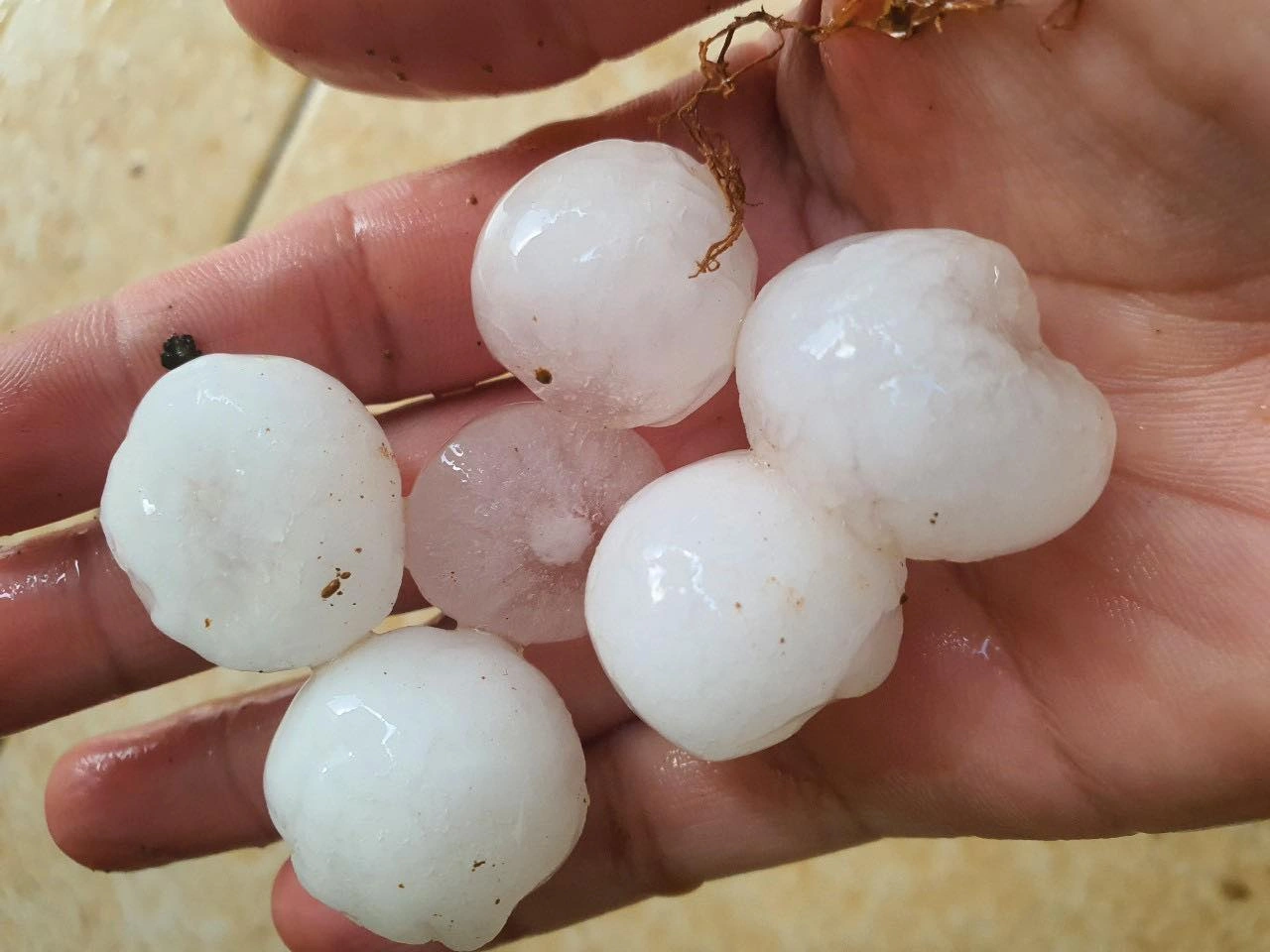 The sudden hail in Ha Giang poured down big ice