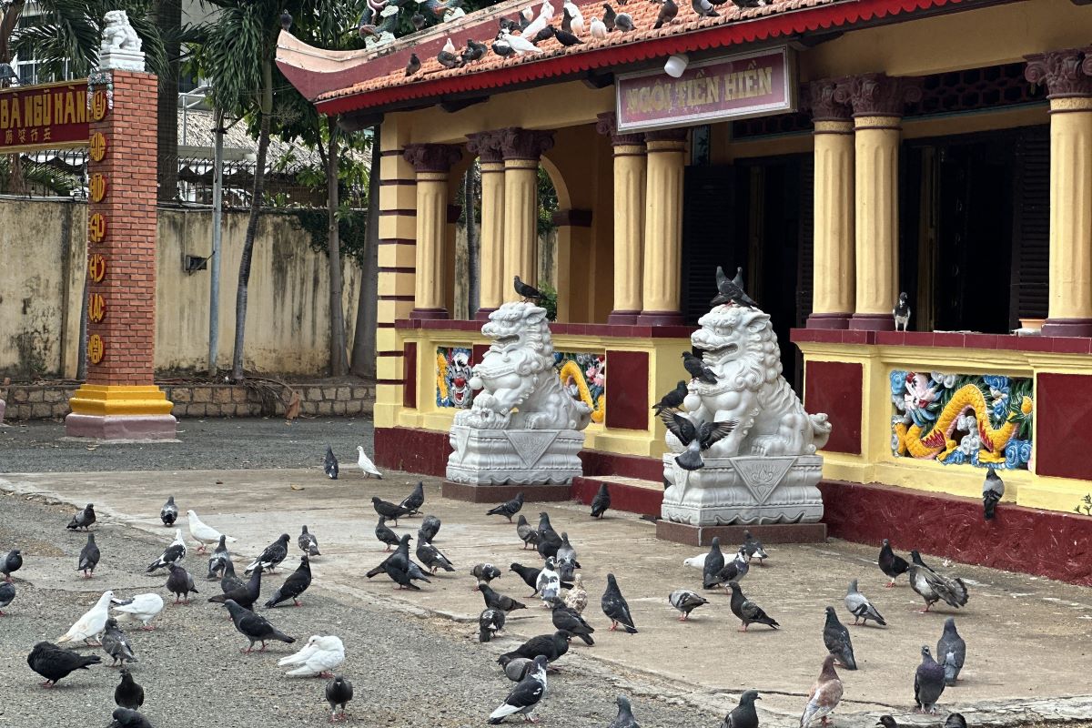 Thang Tam Temple - a hidden gem in Vung Tau