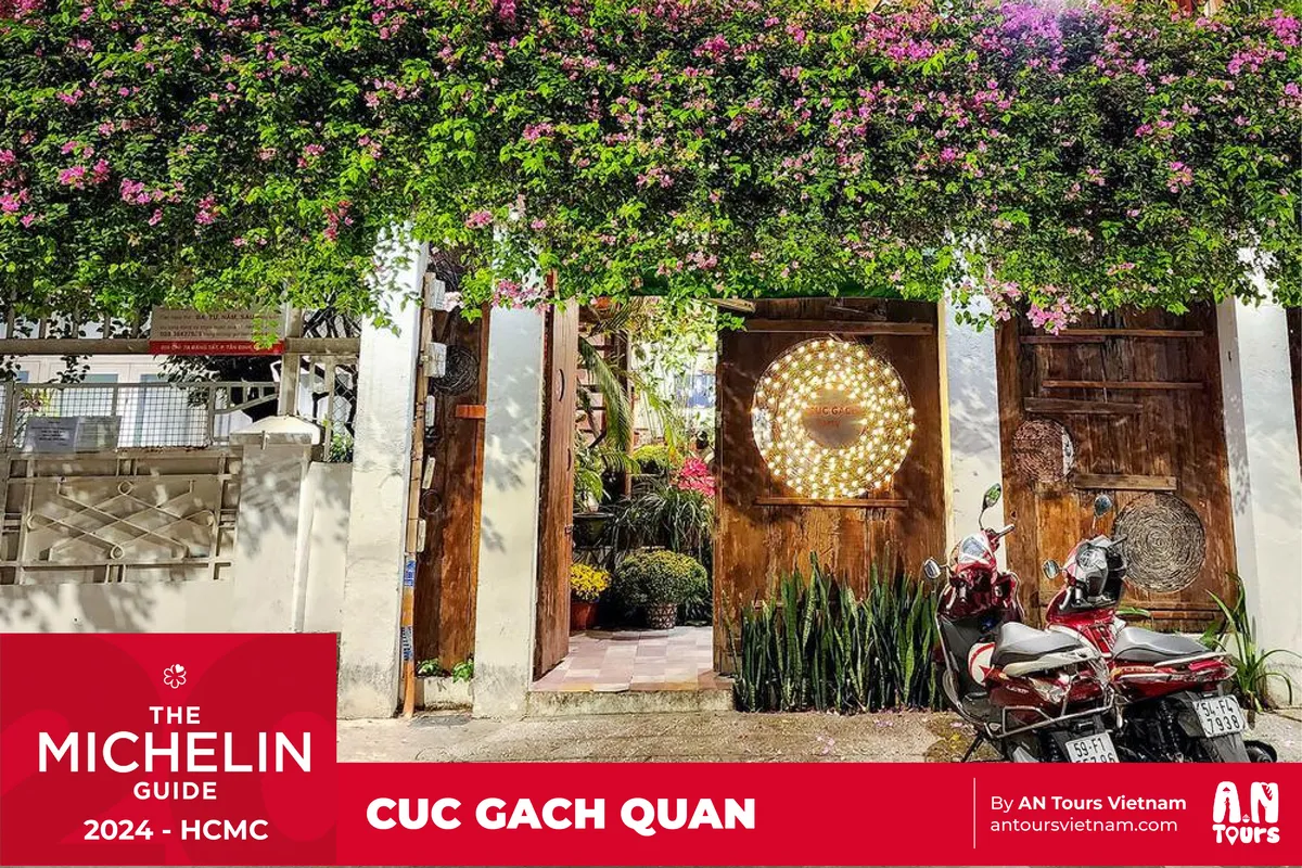 7 - Cuc Gach Quan