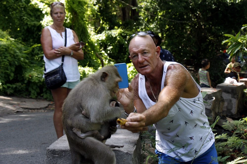 Feed the monkeys at the pagoda gently