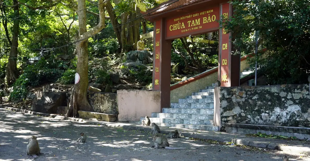 Monkeys in front of Tam Bao Pagoda - Vung Tau