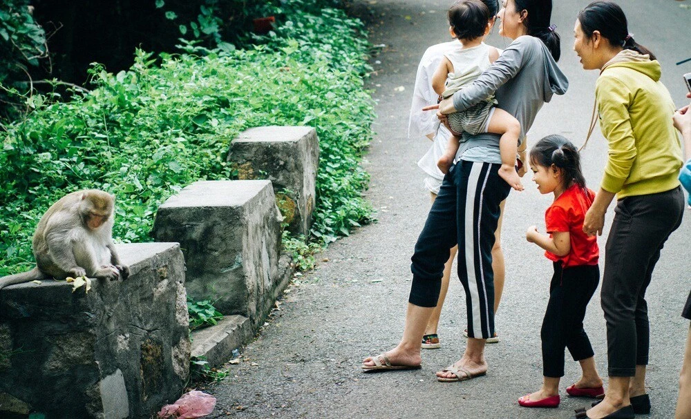 People are excited to visit the monkeys here
