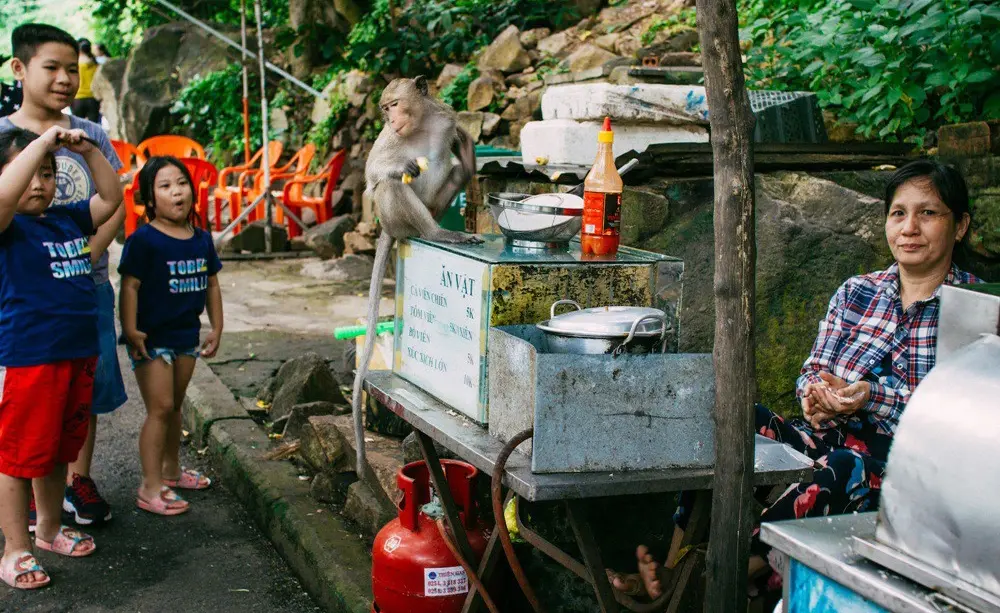 The food stall for monkeys at Tam Bao Pagoda