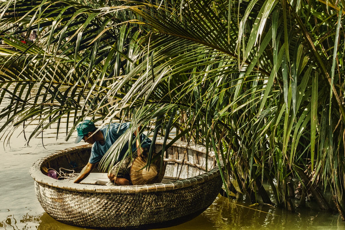 A woven basket boat beneath dense water-palm fronds in Cam Thanh, Hoi An.