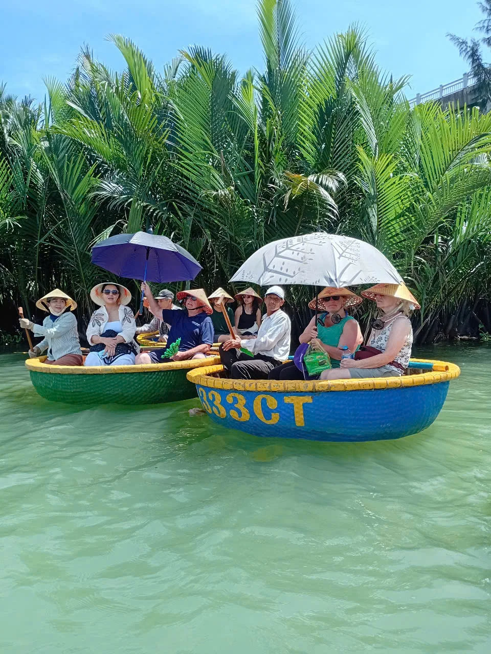 Guests riding colorful basket boats beside dense water palms in Cam Thanh.