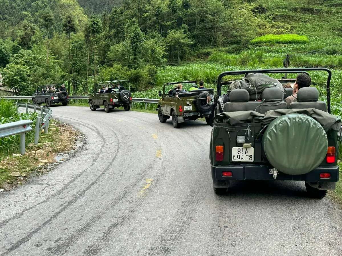 A convoy of four open-top green jeeps follows a bend in a mountain road beside a wooded hillside.