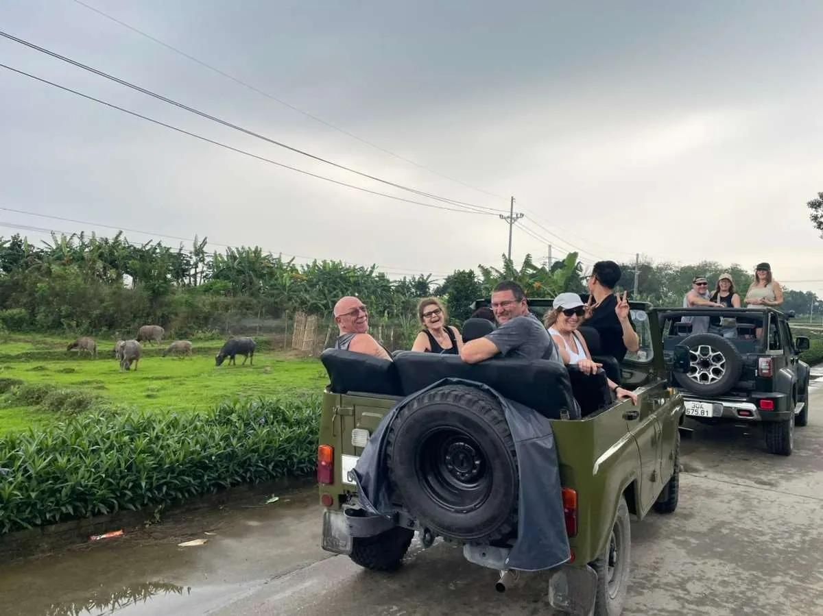 Travelers in two open-top jeeps on a narrow rural lane beside green fields with grazing buffalo.